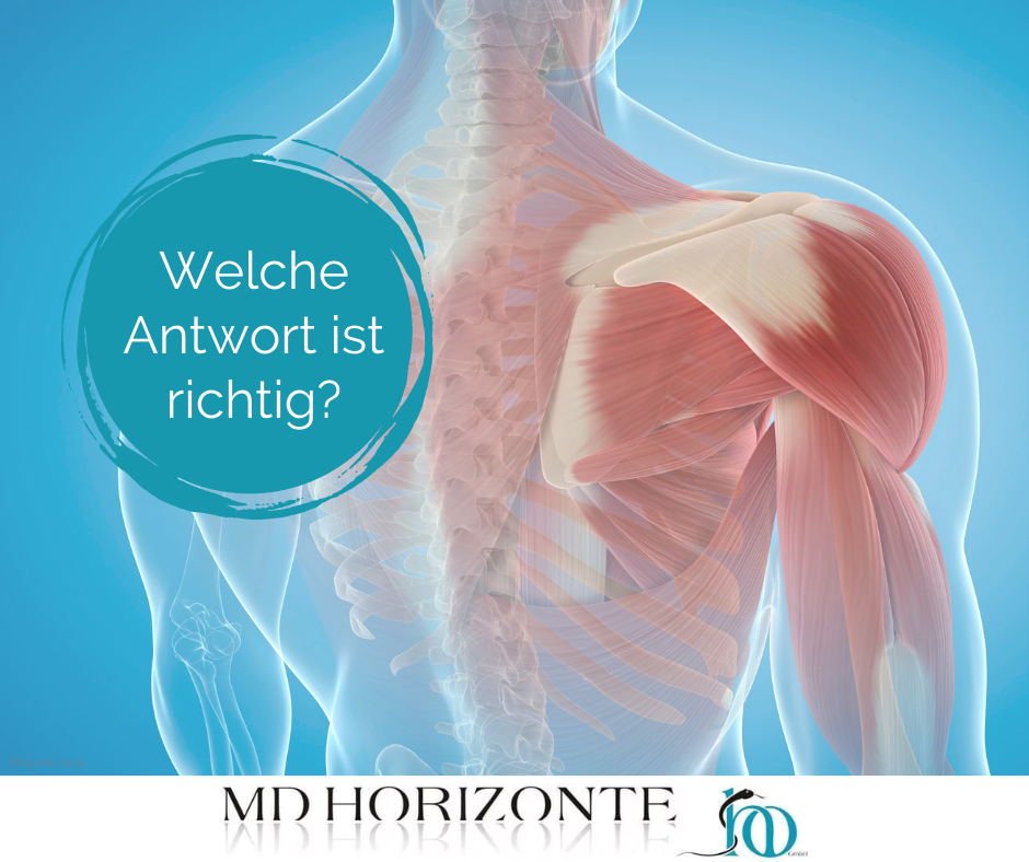 Schmerz - Impingement-Syndrom der Schulter